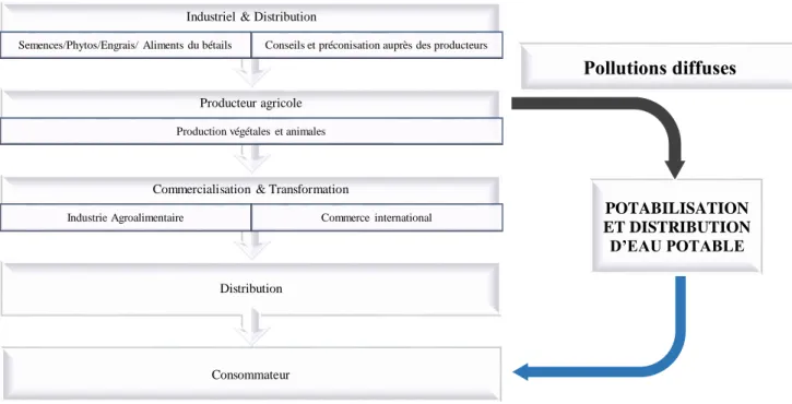 Figure 5: Processus de pollution des nappes par les producteurs agricoles 