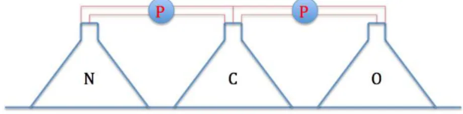 Figure 2.1.1  Prinipe de fontionnement du hémostat.