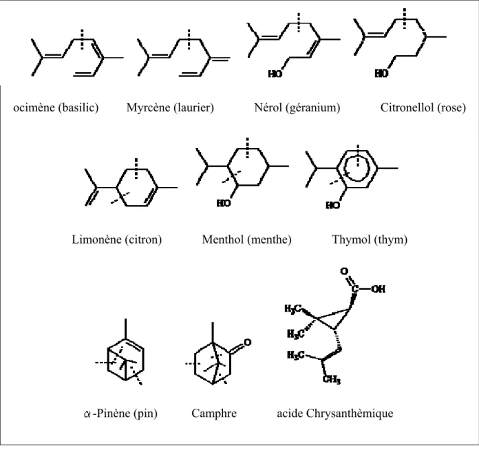 Figure I.1 : Structure de quelques monoterpènes et leurs  sources 