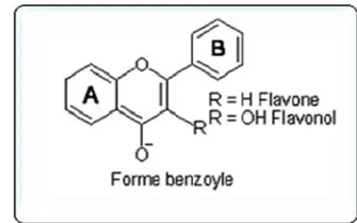 Tableau I.8. : Position des bande I et II en fonction du type de flavonoides  Type de flavonoïdes   Bande I (nm) Bande II (nm) 