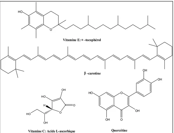 Figure 9 : Antioxydants naturels II.2.4. 2. Antioxydants de synthèse