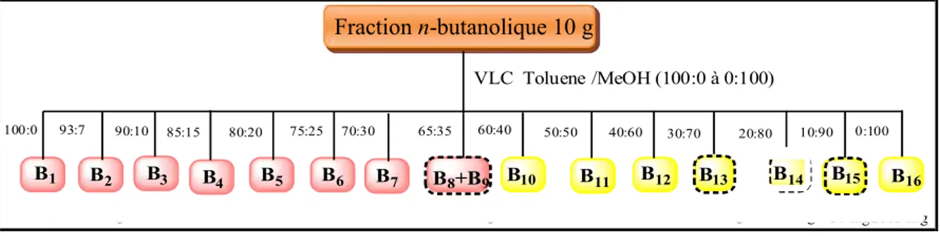 Figure 18: Schéma de fractionnement de la fraction n- butanolique d’A. armatus Tableau 7 : Fractionnement la fraction n-butanolique d’A