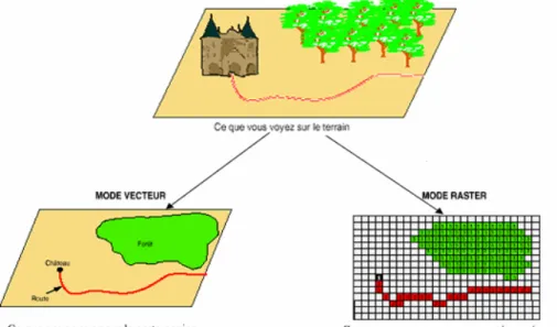 Figure 2. 3 : Représentation en mode Vecteur et Raster 2.5.1 Mode Vectoriel