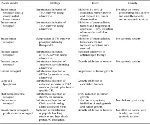 Table 3 : Anti-Survivin strategies and interventions (Fukuda and Pelus, 2006). 