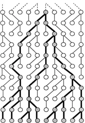 Figure  3-1:  Genetic  history  of  a  constant  population  size  10.  The  oldest generation  is  at  the  top;  the  darkened  nodes  and  lines  represent  the  ancestors  of  the current  population  (bottom row).