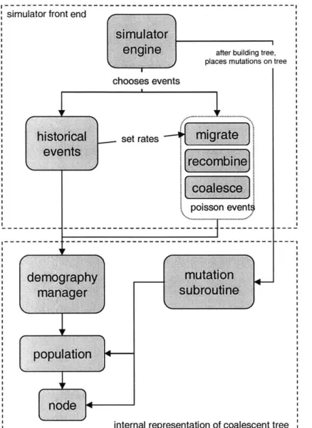 Figure  5-1:  Structure  of CoSi