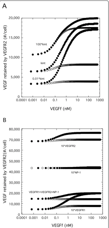 Figure 8 VEGF-mediated endocytosis and relative receptor levels impacts VEGF binding to VEGFR2