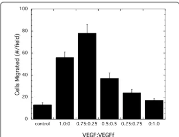 Figure 9 BAE cell migration towards VEGF and VEGFf. BAECs were seeded on the upper membrane of transwell cell migration chambers