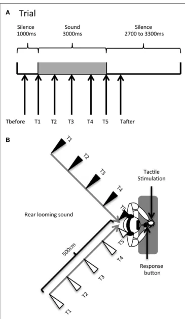 FIGURE 1 | Audiotactile test. (A). Description of a trial. (B) Experimental setup. Participants received a tactile stimulus at their hand while task-irrelevant sounds (threatening or non-threatening) approached them from the rear hemi-field, either in the 