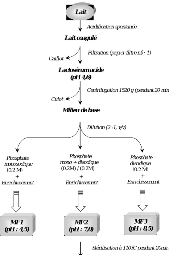 Fig. 07 : préparation du milieux de fermentation à base de lactosérum. 