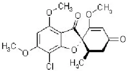 Figure 1 : Griséfuline® Laboratoire Sanofi Winthrop 