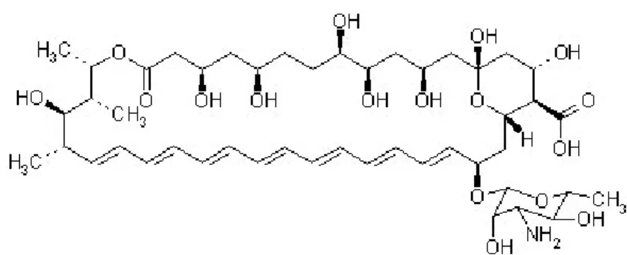 Figure 3 : Fungizone ® Laboratoire Bristol-Myers-Squibb  