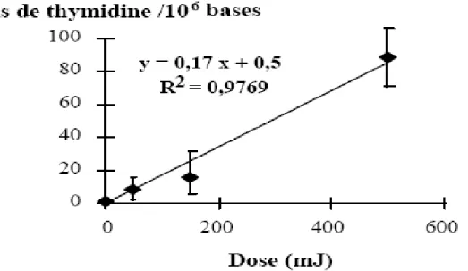 Fig. II.15 : Formation des diols de thymidine, déterminée par CLHP-SM/SM, dans l’ADN de  monocytes exposés à des impulsions laser UV (266 nm) de haute intensité