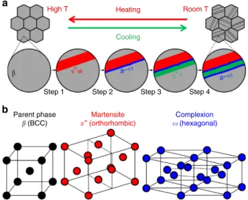 Figure 2b shows a scanning electronic microscopy–backscatter electrons (SEM-BSE) micrograph of a [0–11] b grain (the following lattice correspondences are used in the present paper: b-a 00 : [100] a 00 –[100] b , [010] a 00 –[011] b , [001] a 00 –[0–11] b 