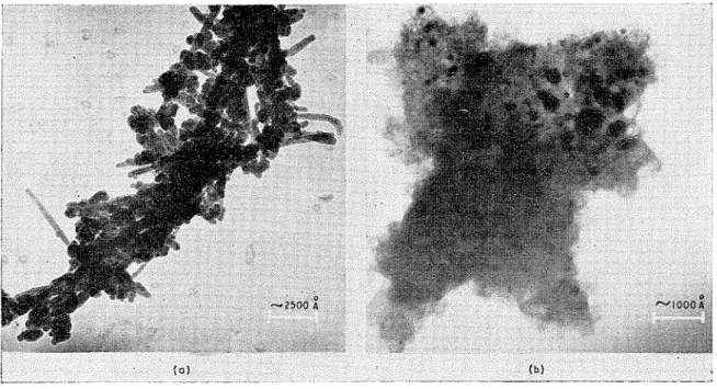 Fig.  1.  Electroll 111icrograp11s  of  Ca(OH),  (a) Water hydrated 
