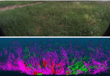 Fig. 9. Classification results with hierarchical Random Forest scheme on an abandoned football field with patches of tall grass (same color codes as in figure 6)