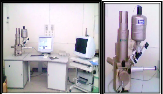 Figure II.4: microscope electronique à balayage 