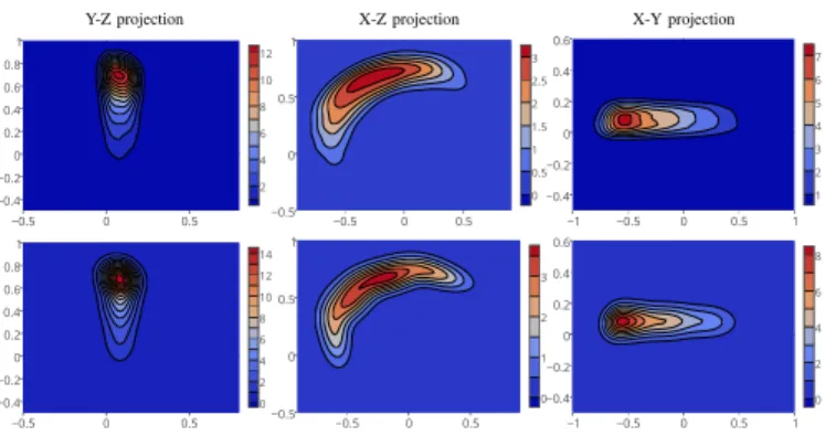 Fig. 4. Illustration of the probability density distribution of the CoM w.r.t.