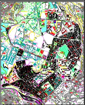 Figure n°8 : Plan masse du quartier Sidi  Mabrouk. 