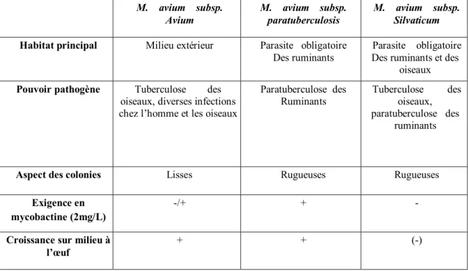 Tableau n°1: Caractères utiles au diagnostic différentiel des sous-espèces de Mycobacterium avium  (DOUART, 2000)