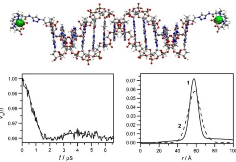 Figure 24: Top: Example of structure of DNA duplex doubly labeled with Gd-DOTA-alkyne