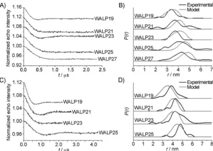 Figure 26: W-band PELDOR results obtained with doubly-labeled WALP peptides. A) Background-corrected time  traces with their Tikhonov fits for the doubly-Gd-C1 labeled peptides