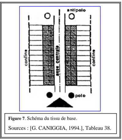 Figure 7.  Schéma du tissu de base. 