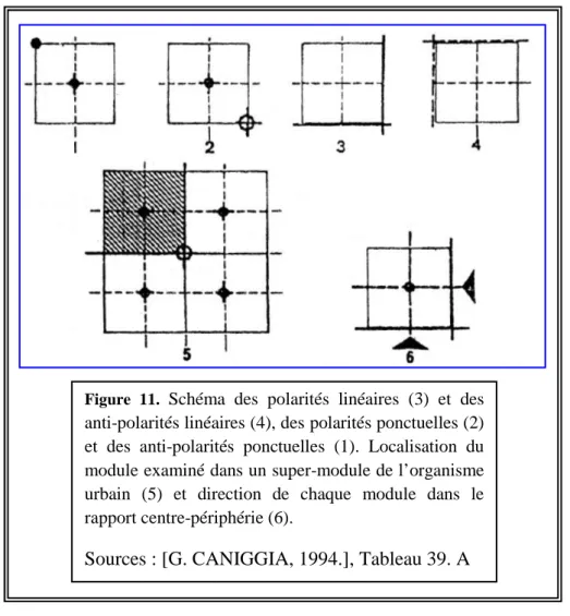 Figure  11.  Schéma  des  polarités  linéaires  (3)  et  des  anti-polarités linéaires (4), des polarités ponctuelles (2)  et  des  anti-polarités  ponctuelles  (1)