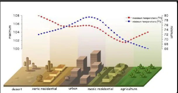 Fig. 2.14. Illustration du phénomène d’îlot de chaleur urbain dans les régions semi-arides