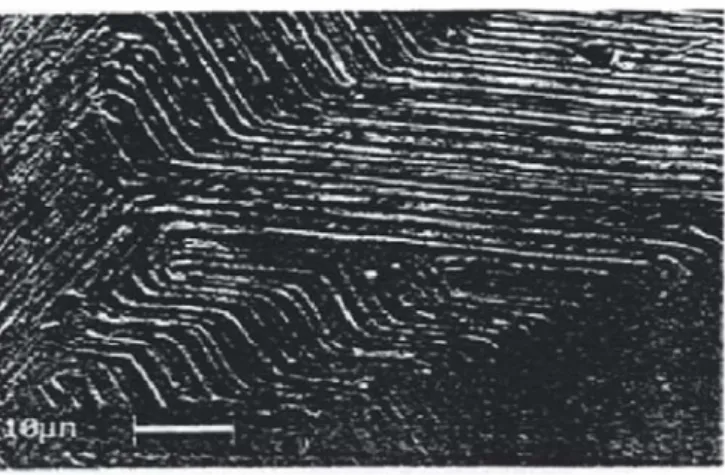 Figure 1.5 : Surface facettée [17]. 