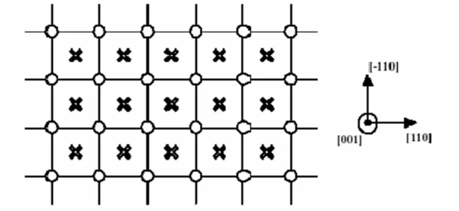 Figure 6.2 : Projection de la surface (100). Le plan de surface est représenté par des cercles et  le premier plan sous-jacent par des croix