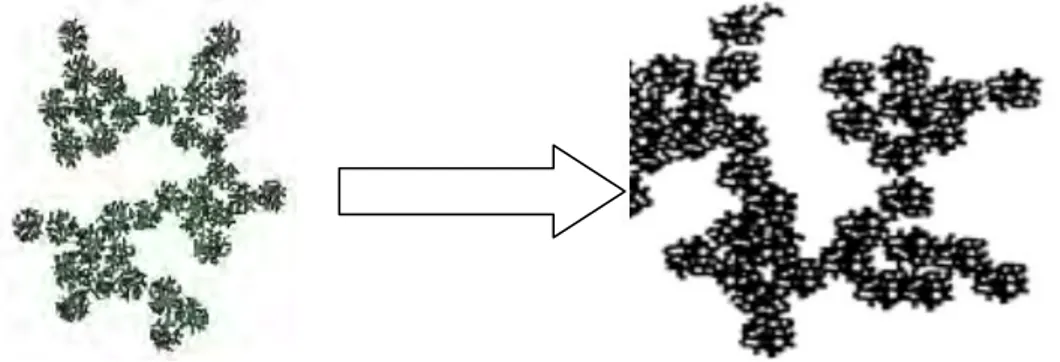 Figure I.7: Structure de la micelle inverse (a) et directe (b)  [2]. 