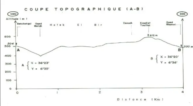 Fig n°3  Coupe Topographique (A-B) 