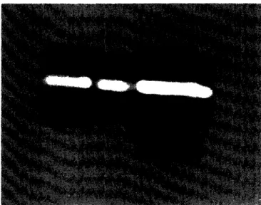 Figure 10. Quick disconnect linkage.