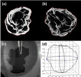 Figure 2. Example of images. (a) front Schlieren image, (b) side Schlieren image, (c) Mie  scattering image from the side view, (d) reconstructed flame volume