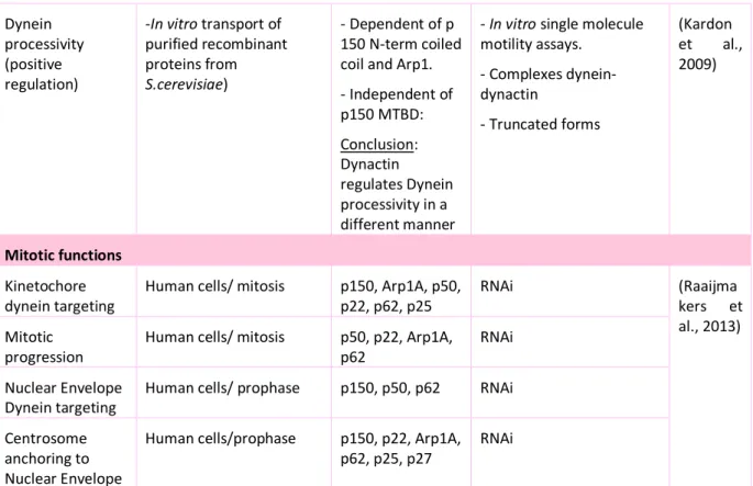 Table 2: Dynein functions assisted by dynactin as determined by in vitro or in cellulo studies