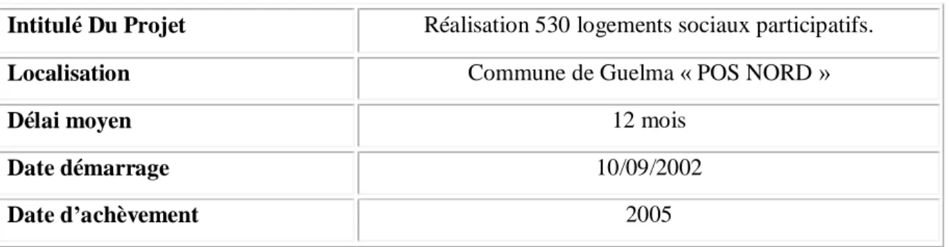 Tableau N ° 11 : consistance du projet 