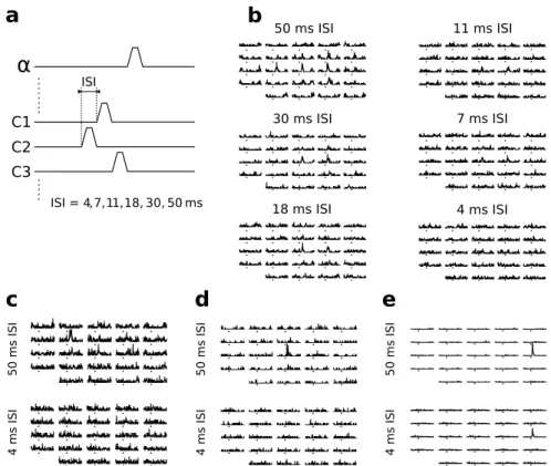 Figure 3.1 – Impact of stimulus density on the measurement of the linear receptive field of barrel cortex neurons