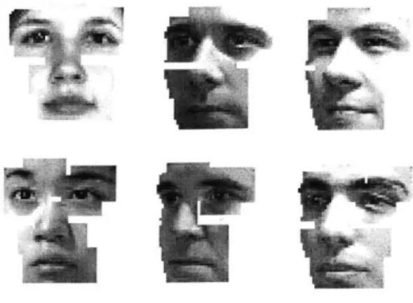 Figure  4.2:  Composite  of  the  nine  components  retained  for  face  recognition.