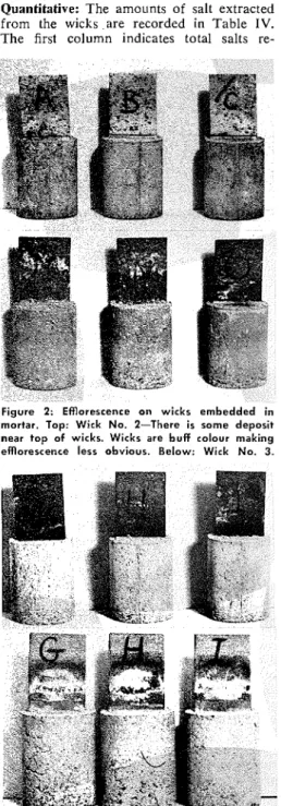 Figure  2:  Efflorescence  on  wicks  embedded  in  mortar.  Top:  Wick  No.  2-There  is  some  deposit  near  top  of  wicks