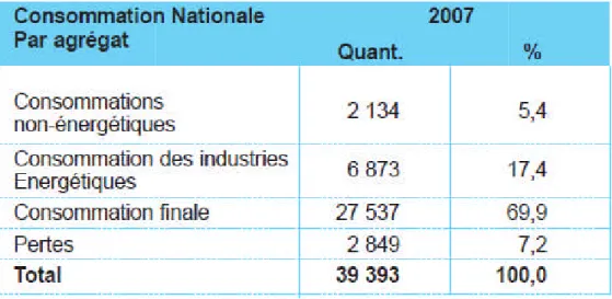 Tableau 10 : Consommation nationale par agrégat