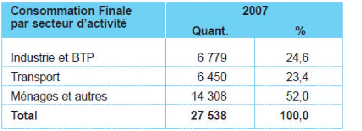 Tableau 12 : La consommation finale par secteur d’activité