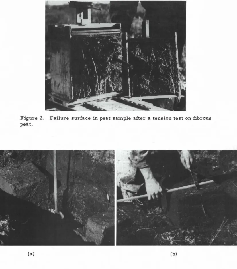 Figure 2. Failure surface in peat sample after a tension test on fibrous peat.