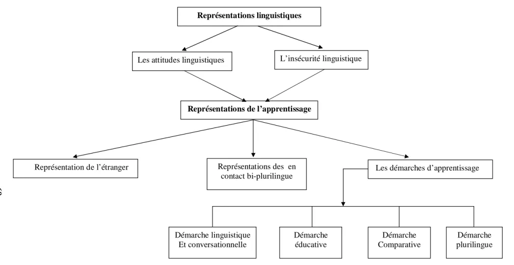Diagramme n°2 : Le passage des représentations linguistiques aux représentations didactiques Représentations des  en 