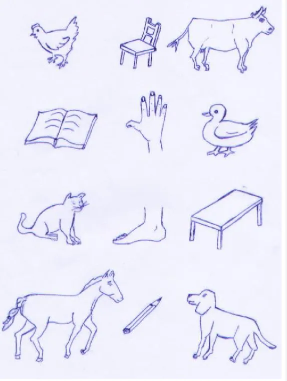 Figure Ap.2 :  Images of different things and animals (memory item 5) 
