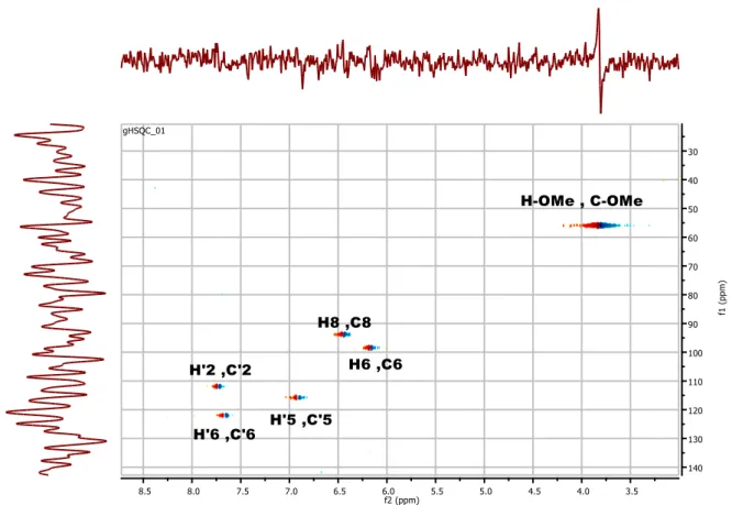 Figure -22 : Spectre de corrélation hétéronucléaire HMBC du composé Bh-1 
