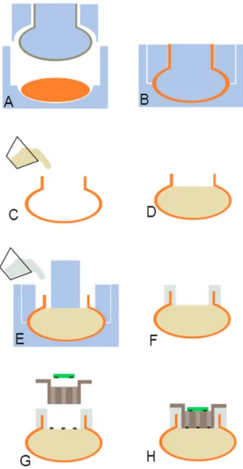 Figure 2-4: Cross-sectional view of fabrication process. Woven fiberglass is placed around a shaped insert (A) and pressed into a mold, embedding it within a tough, urethane rubber (B)