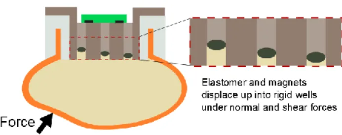 Fig. 1: Deformation of elastomeric padding. As ground reaction forces are  applied to the footpad in this cross-sectional view, the soft elastomer deforms  up  into  the  rigid  wells,  sending  a  unique  signal,  based  on  the  normal  and  shear compon