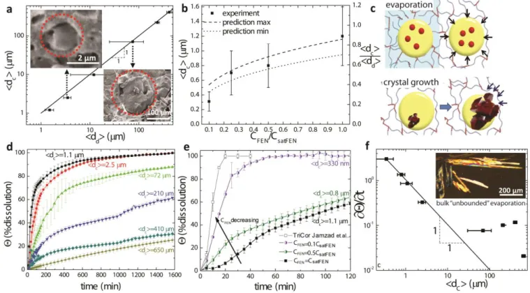 Figure 3 (a) Controlling the crystal size by controlling the droplet size at fixed API concentration (C sat =C satFEN ): The mean crystal  size (<d c >) plotted as a function of the mean droplet size (<d d >) insets show a SEM image of dried co