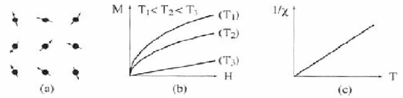 Figure I.6: (a) Isotropie des moments due à l’agitation thermique dans les matériaux  Paramagnétiques; (b) Comportement de l’aimantation sous l’action d’un champ appliqué à 